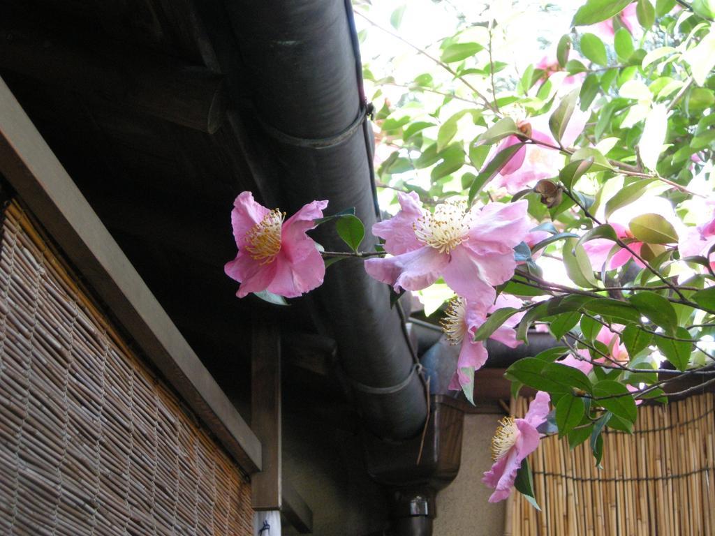 Guesthouse Itoya Kioto Exterior foto